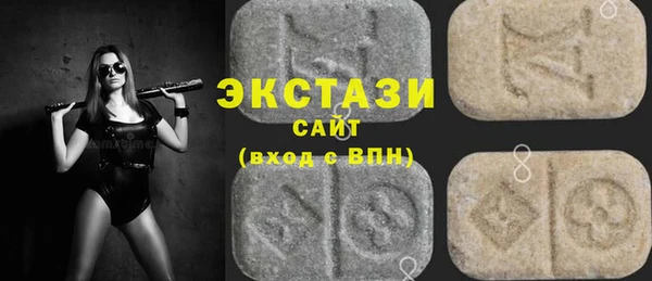 гидра Вяземский