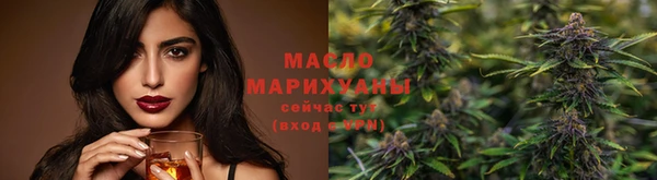 гидра Вяземский