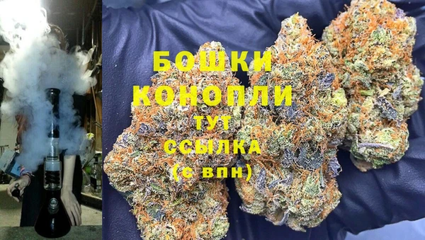 гидра Вяземский