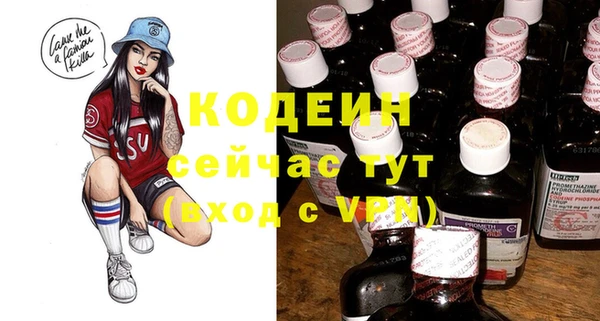 гидра Вяземский