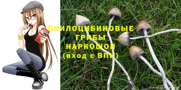 соль курить ск Вязьма
