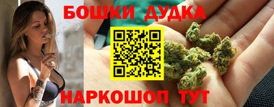 молекула духа Донской