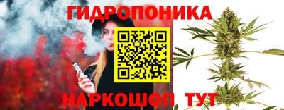 бошки Дубна
