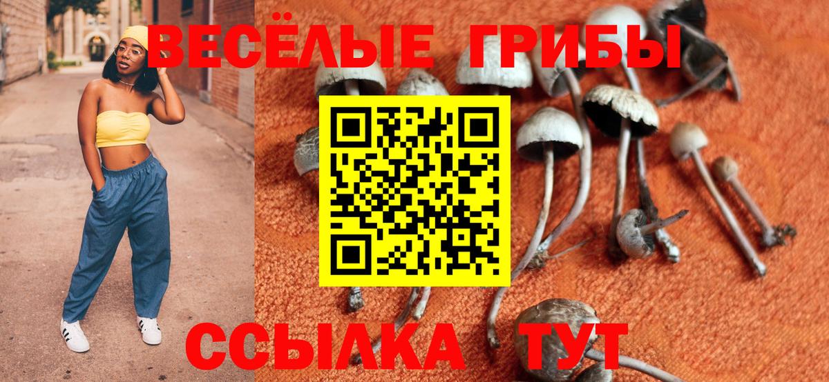 Нурлат  Псилоцибиновые грибы мицелий  Вход с VPN 