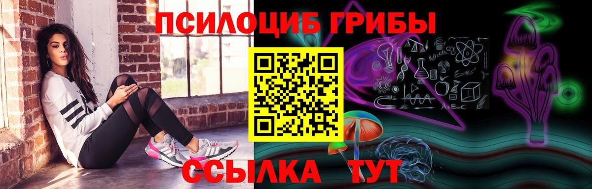 Галлюциногенные грибы Cubensis Нурлат